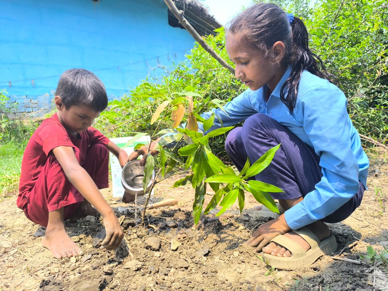 विश्व वातावरण दिवसमा रौतहटमा ‘एक बालबालिका, एक बिरुवा’ अभियान सुरु, ७ हजारभन्दा बढी बालबालिका सहभागी हुने