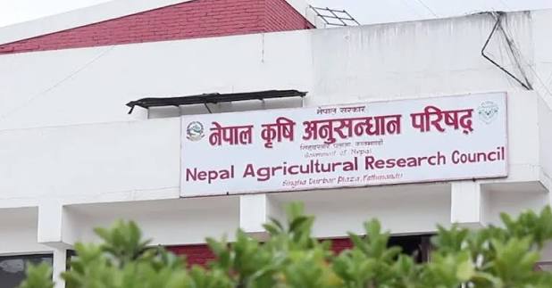 लामो समय कार्यालयमा अनुपस्थित नार्कका दुई कर्मचारी सेवाबाट निष्कासित  बेपत्ता कर्मचारीमाथि कारबाही सुरु